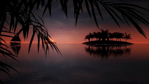 3D Animated Tropical Dawn -   [ENG][2009]