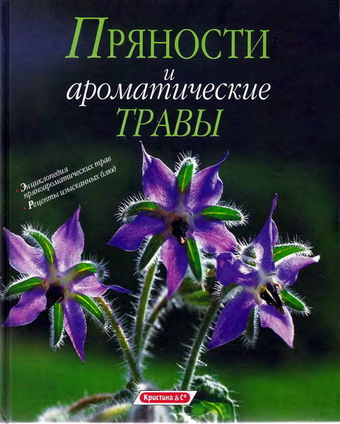 http://i3.fastpic.ru/big/2009/1023/75/8475767b2403185aff5a9025c5128075.jpg