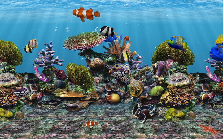 3D Fish School 4.6 [ENG][2009]