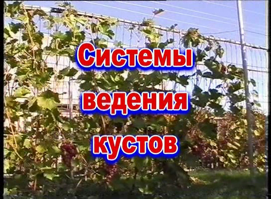 http://i3.fastpic.ru/big/2009/1023/ab/74073caee19f0e034d9703f988fe2cab.png